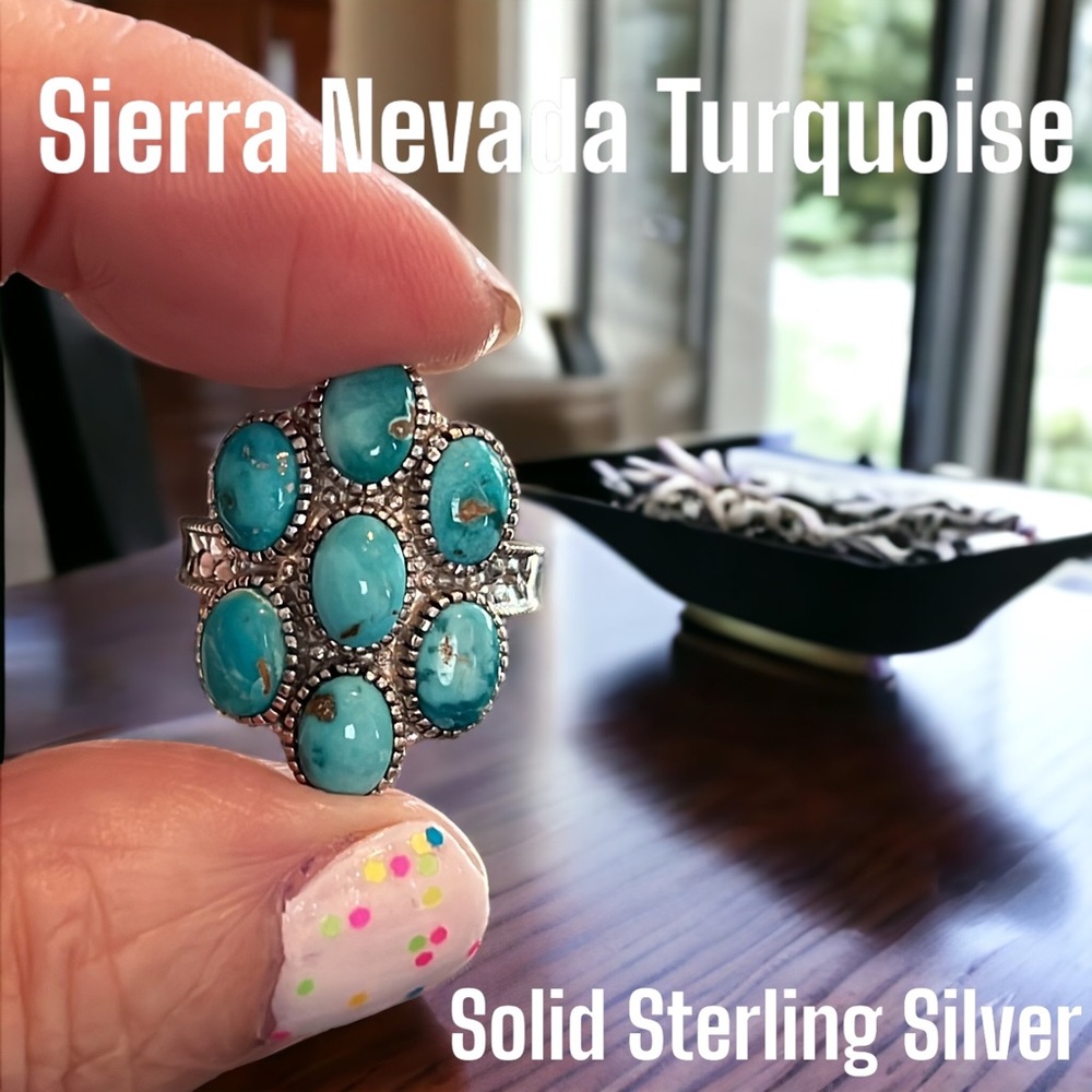 SS#22 Sierra Nevada Turquoise Floral Ring In Solid Sterling Silver Sz 6.25 NWOT
